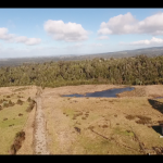 San Pedro 214 Hectareas