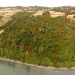 Huenao  1.9 hectáreas