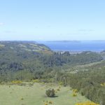 Chenquempulli 11 Hectareas