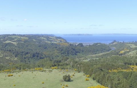 Chenquempulli 11 Hectareas