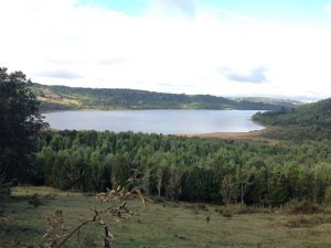 Lago Pio Pio 8.8 hectareas