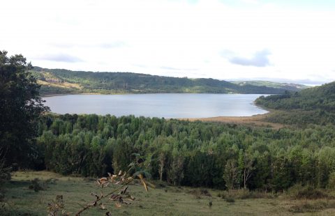 Lago Pio Pio 8.8 hectareas