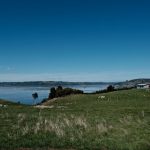 Parcelas de Quetalco de 5.000.m2, borde mar.