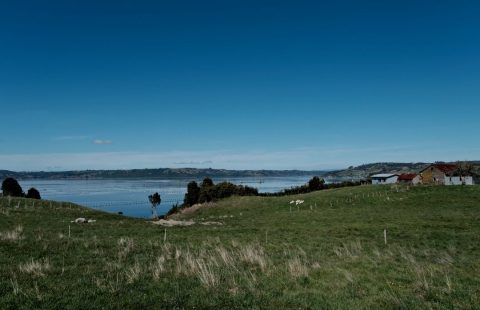 Parcelas de Quetalco de 5.000.m2, borde mar.