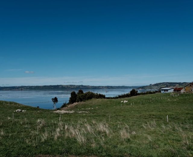 Parcelas Quetalco – Exclusivas Parcelas en la Isla de Chiloé
