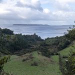 4 Hectáreas en Quetalco.