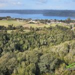 Terreno de 6700 m2 en Llicaldad, Castro