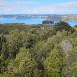 Excelente parcela de 6000 M2 en Llicaldad.