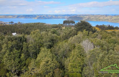 Excelente parcela de 6000 M2 en Llicaldad.