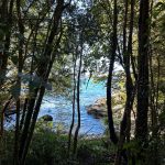 Chiloé, isla Coldita parcela borde mar  5.000.- metros