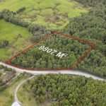 Parcela de 9807 M2 de Bosque Nativo, cruce Miraflores y Lago Natri