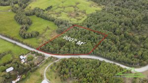 Parcela de 9807 M2 de Bosque Nativo, cruce Miraflores y Lago Natri