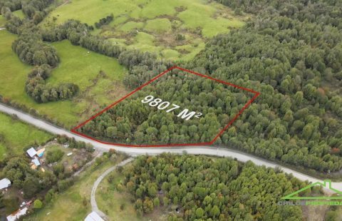 Parcela de 9807 M2 de Bosque Nativo, cruce Miraflores y Lago Natri