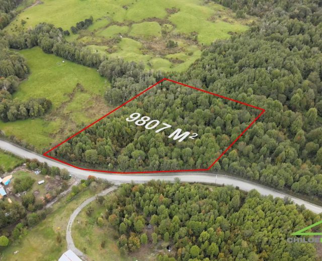 Parcela de 9807 M2 de Bosque Nativo, cruce Miraflores y Lago Natri
