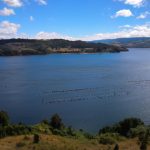Hermosa parcela en Lingue 1.22 hectáreas, península de Rilán, Isla de Chiloé
