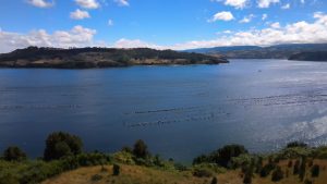 Hermosa parcela en Lingue 1.22 hectáreas, península de Rilán, Isla de Chiloé