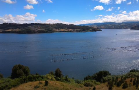 Hermosa parcela en Lingue 1.22 hectáreas, península de Rilán, Isla de Chiloé