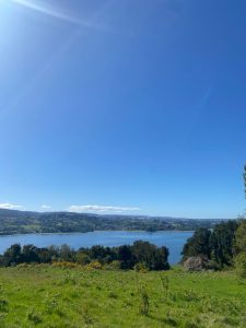 Peuque, Península de Rilán, isla de Chiloé, 4.5 Hectáreas
