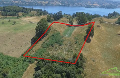 Hermosa parcela de 1.39 hectáreas en el sector de Peuque