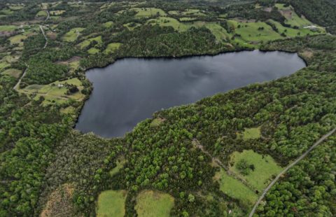 Laguna Meli 12.02 hectáreas, 230 metros de borde lago.