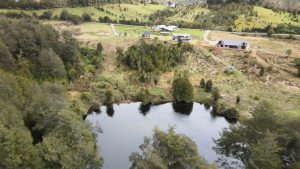 ¡Increíble Propiedad en Venta a Orillas del Río San Pedro, Chiloé!