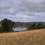 🌿 Parcelas con Vista Panorámica en Peuque, Península de Rilán – Chiloé 🌿
