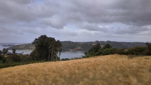 🌿 Parcelas con Vista Panorámica en Peuque, Península de Rilán – Chiloé 🌿