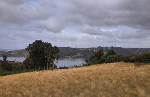 🌿 Parcelas con Vista Panorámica en Peuque, Península de Rilán – Chiloé 🌿