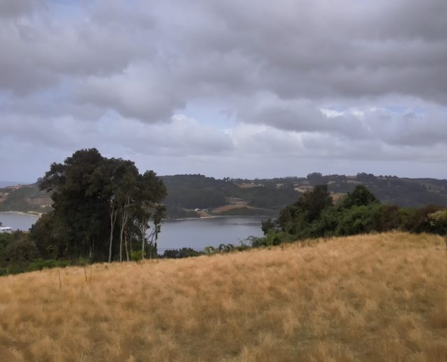🌿 Parcelas con Vista Panorámica en Peuque, Península de Rilán – Chiloé 🌿