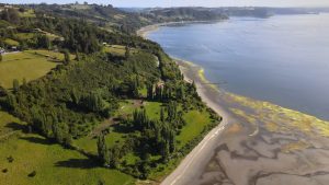 🌿 Parcelas con Vista Panorámica en Huenuco, Península de Rilán – Chiloé 🌿