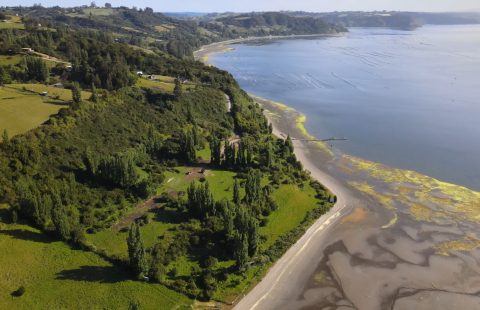🌿 Parcelas con Vista Panorámica en Huenuco, Península de Rilán – Chiloé 🌿