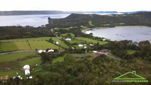 ✨ Teupa –  Parcelas de 5.000 m² con Bosque Nativo y Vista al Mar 🌿🌊