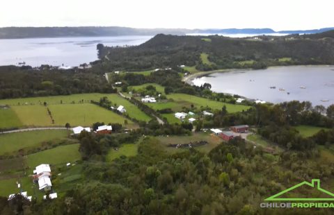 ✨ Teupa – Parcelas de 5.000 m² con Bosque Nativo y Vista al Mar 🌿🌊