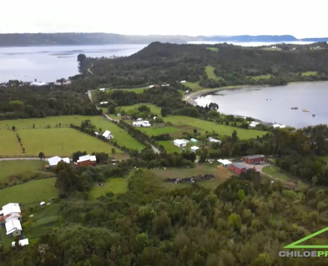 ✨ Teupa – Parcelas de 5.000 m² con Bosque Nativo y Vista al Mar 🌿🌊