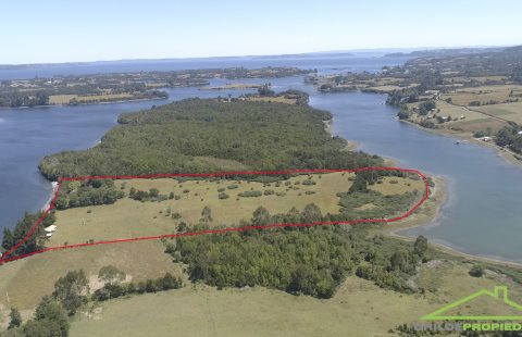 🌊 Campo borde mar en venta en Isla Mechuque – 4,5 hectáreas con casas y servicios