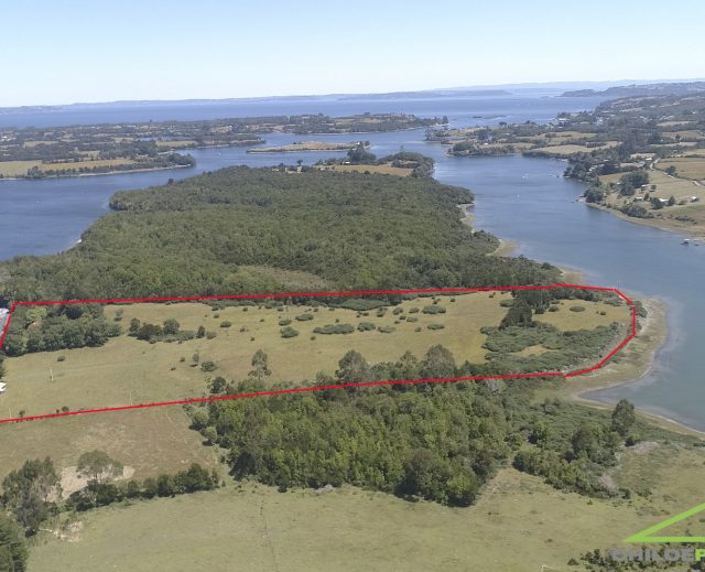 🌊 Campo borde mar en venta en Isla Mechuque – 4,5 hectáreas con casas y servicios