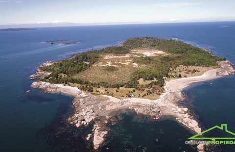 Isla Mauchil 44 Hectareas , Quellon.