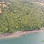 Campo Borde Mar en Venta en Queilen, Chiloé – 9,7 Hectáreas