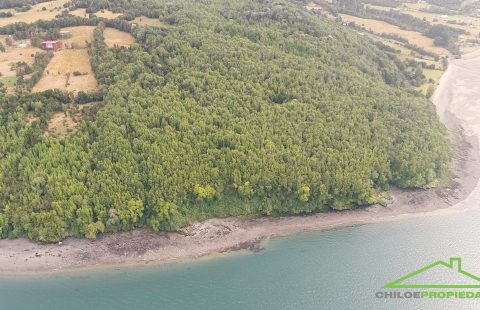 Campo Borde Mar en Venta en Queilen, Chiloé – 9,7 Hectáreas