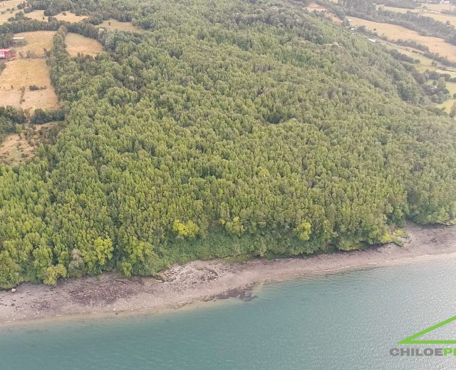 Campo Borde Mar en Venta en Queilen, Chiloé – 9,7 Hectáreas