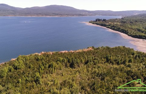 91 hectáreas Borde Mar en Venta – Isla Coldita, Quellón