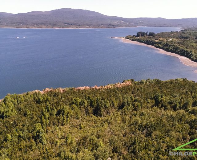 91 hectáreas Borde Mar en Venta – Isla Coldita, Quellón