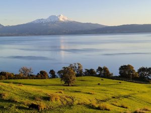 Fundo Las Cascadas, 693 hectáreas con borde lago en Lago Llanquihue