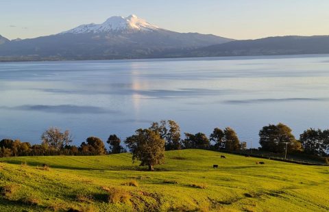 Fundo Las Cascadas, 693 hectáreas con borde lago en Lago Llanquihue