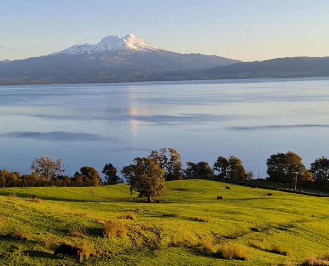 Fundo Las Cascadas, 693 hectáreas con borde lago en Lago Llanquihue