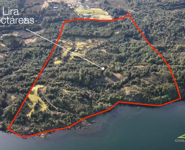 Campo con borde de mar en Díaz Lira, Chiloé – 13,5 hectáreas